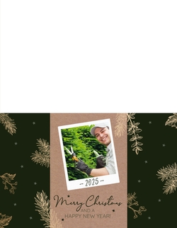 Weihnachtskarte   Goldene Weihnachtszweige auf Grün Rückseite/Vorderseite
